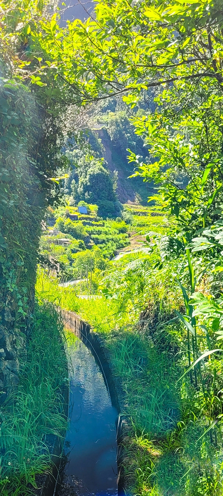 10.06.2022 Anstrengende Einstiegswanderung im Norden — Auf der Levada das Faias — Foto 3