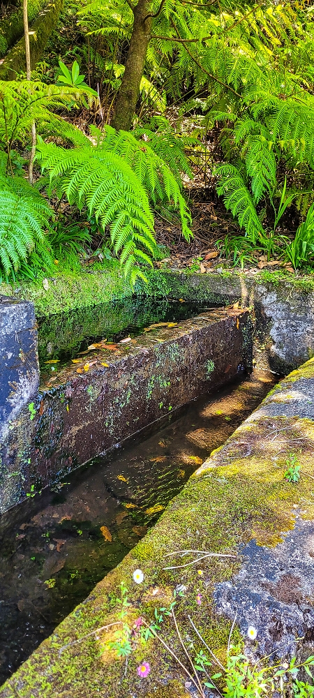 10.06.2022 Anstrengende Einstiegswanderung im Norden — Levada dos Tornos, Levadahaus, Wasserfall und Tunnel — Foto 8
