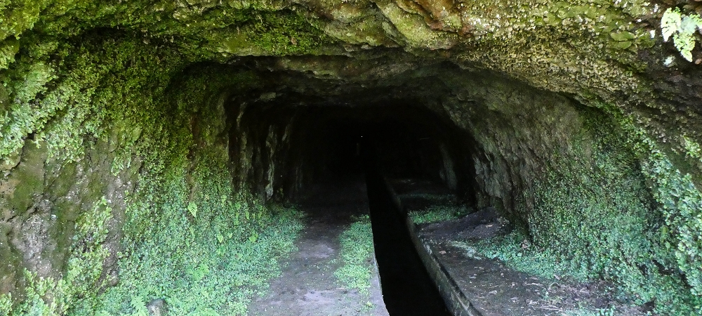 10.06.2022 Anstrengende Einstiegswanderung im Norden — Levada dos Tornos, Levadahaus, Wasserfall und Tunnel — Foto 10