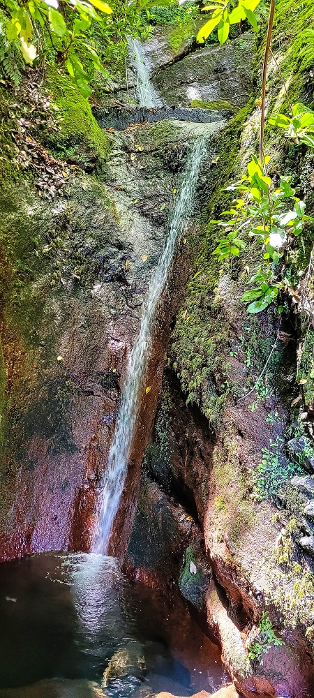 10.06.2022 Anstrengende Einstiegswanderung im Norden — Levada dos Tornos, Levadahaus, Wasserfall und Tunnel — Foto 11