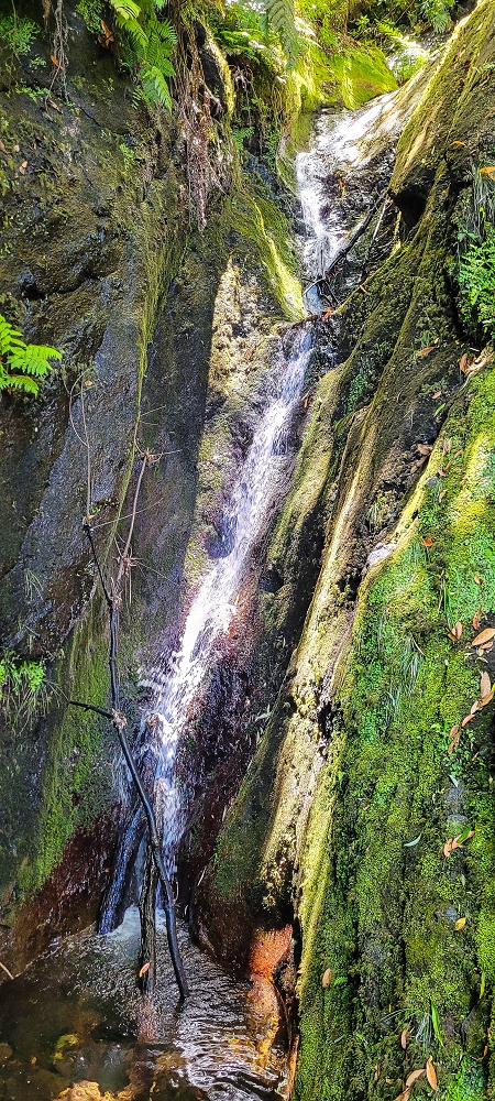 10.06.2022 Anstrengende Einstiegswanderung im Norden — Levada dos Tornos, Levadahaus, Wasserfall und Tunnel — Foto 12