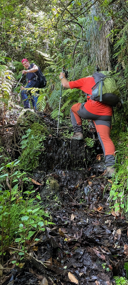 10.06.2022 Anstrengende Einstiegswanderung im Norden — Auf dem Moquinhas-Aufstieg zum Canarioweg — Foto 5