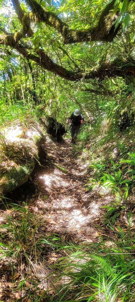 10.06.2022 Anstrengende Einstiegswanderung im Norden — Auf dem Moquinhas-Aufstieg zum Canarioweg — Foto 11