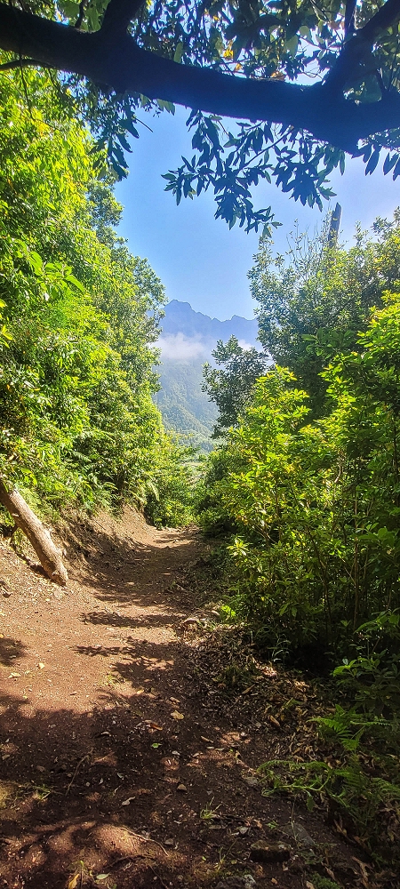 10.06.2022 Anstrengende Einstiegswanderung im Norden — Abstieg zur Levada das Faias — Foto 6