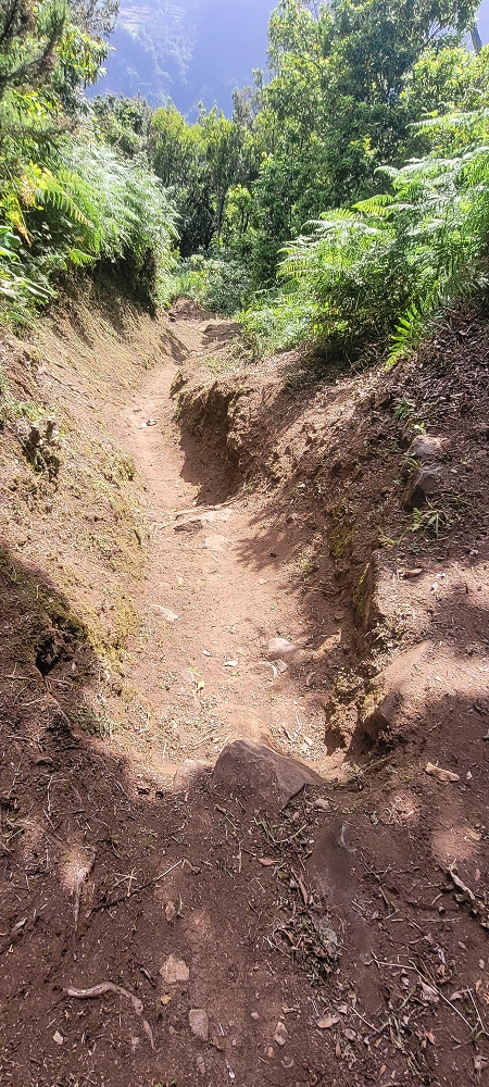 10.06.2022 Anstrengende Einstiegswanderung im Norden — Abstieg zur Levada das Faias — Foto 7