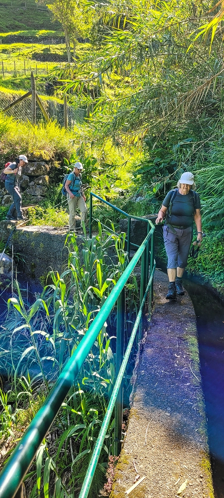 10.06.2022 Anstrengende Einstiegswanderung im Norden — Auf der Levada das Faias — Foto 6