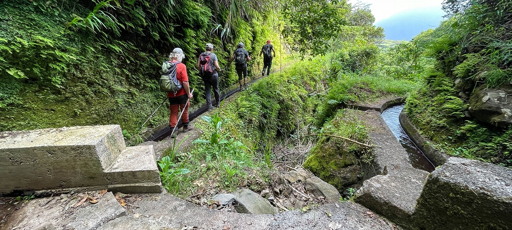 10.06.2022 Anstrengende Einstiegswanderung im Norden — Zurück auf der Levada das Faias zum Ausgangspunkt — Foto 1