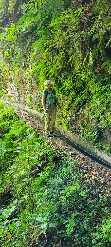 10.06.2022 Anstrengende Einstiegswanderung im Norden — Zurück auf der Levada das Faias zum Ausgangspunkt — Foto 2