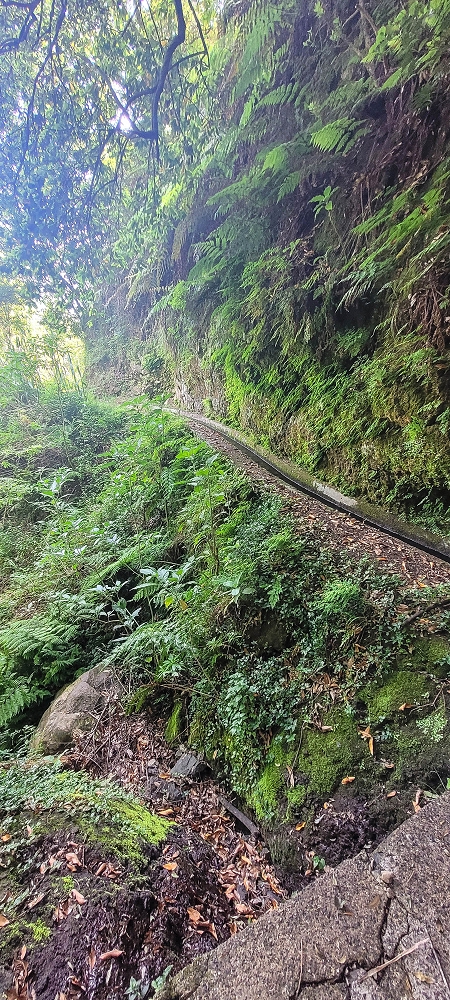 10.06.2022 Anstrengende Einstiegswanderung im Norden — Zurück auf der Levada das Faias zum Ausgangspunkt — Foto 3