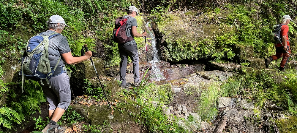 10.06.2022 Anstrengende Einstiegswanderung im Norden — Zurück auf der Levada das Faias zum Ausgangspunkt — Foto 5