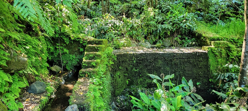 10.06.2022 Anstrengende Einstiegswanderung im Norden — Auf der Levada das Faias — Foto 9