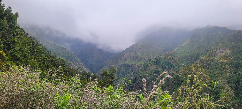 10.06.2024 Über die Levada de Marques Teixeira zum Cascalho und zurück über die Levada do Paul und die Levada Seca — Auf der Levada de Marques Teixeira bis zur Blechdachpassage — Foto 1