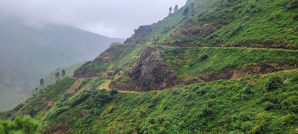 10.06.2024 Über die Levada de Marques Teixeira zum Cascalho und zurück über die Levada do Paul und die Levada Seca — Auf der Levada de Marques Teixeira bis zur Blechdachpassage — Foto 12