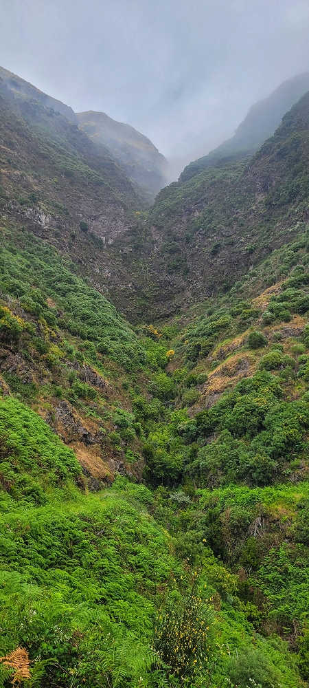 10.06.2024 Über die Levada de Marques Teixeira zum Cascalho und zurück über die Levada do Paul und die Levada Seca — Auf der Levada de Marques Teixeira bis zur Blechdachpassage — Foto 13