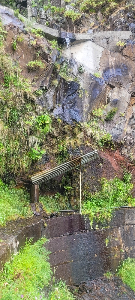 10.06.2024 Über die Levada de Marques Teixeira zum Cascalho und zurück über die Levada do Paul und die Levada Seca — Das Blechdach — Foto 1