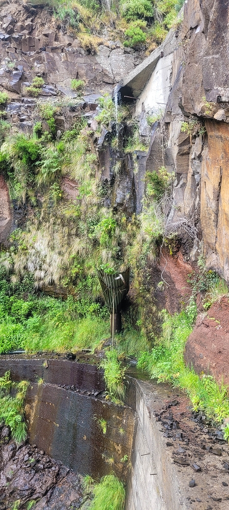 10.06.2024 Über die Levada de Marques Teixeira zum Cascalho und zurück über die Levada do Paul und die Levada Seca — Das Blechdach — Foto 2