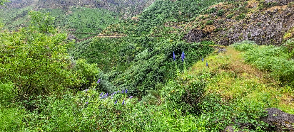 10.06.2024 Über die Levada de Marques Teixeira zum Cascalho und zurück über die Levada do Paul und die Levada Seca — Weiter bis zum Cascalho — Foto 1