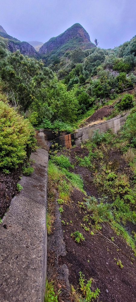 10.06.2024 Über die Levada de Marques Teixeira zum Cascalho und zurück über die Levada do Paul und die Levada Seca — Weiter bis zum Cascalho — Foto 9