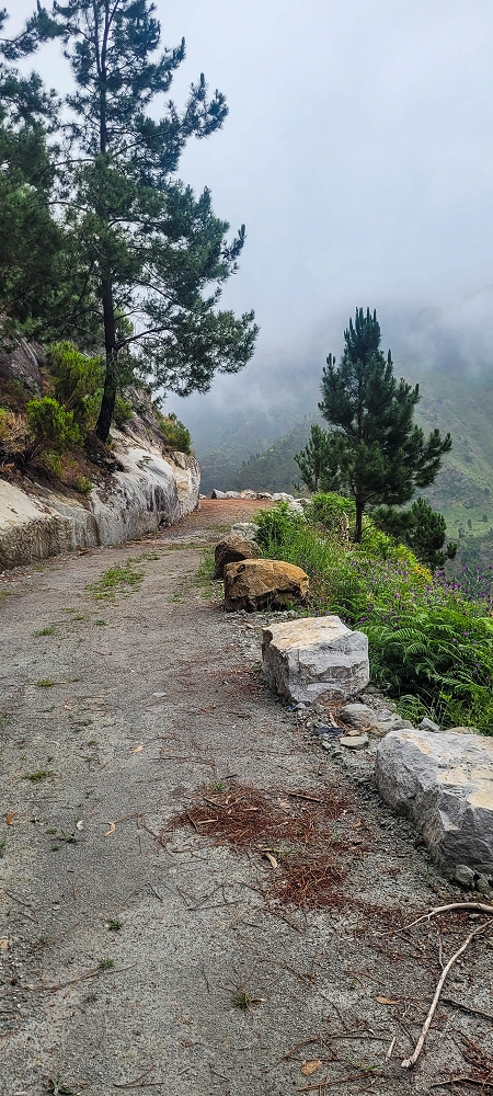 10.06.2024 Über die Levada de Marques Teixeira zum Cascalho und zurück über die Levada do Paul und die Levada Seca — Auf der Levada de Marques Teixeira bis zur Blechdachpassage — Foto 3