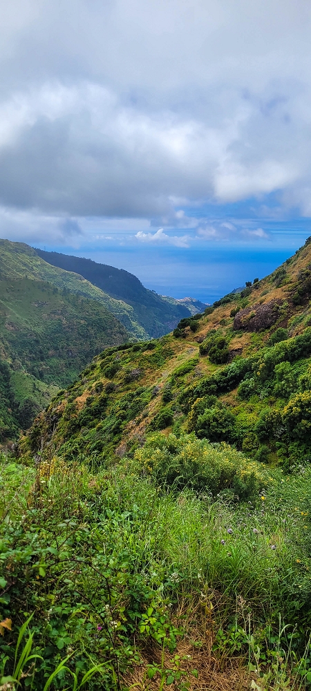 10.06.2024 Über die Levada de Marques Teixeira zum Cascalho und zurück über die Levada do Paul und die Levada Seca — Weiter bis zum Cascalho — Foto 11