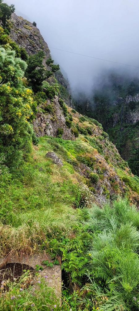 10.06.2024 Über die Levada de Marques Teixeira zum Cascalho und zurück über die Levada do Paul und die Levada Seca — Weiter bis zum Cascalho — Foto 12