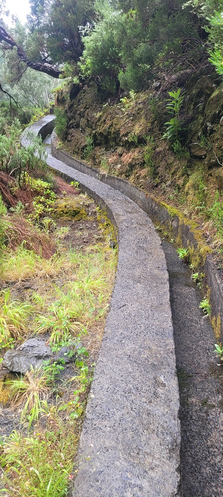 10.06.2024 Über die Levada de Marques Teixeira zum Cascalho und zurück über die Levada do Paul und die Levada Seca — Cascalho — Foto 6