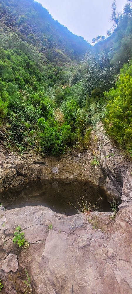 10.06.2024 Über die Levada de Marques Teixeira zum Cascalho und zurück über die Levada do Paul und die Levada Seca — Auf der Levada de Marques Teixeira bis zur Blechdachpassage — Foto 4