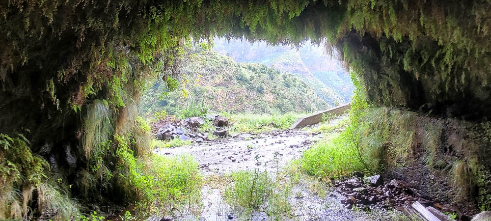 10.06.2024 Über die Levada de Marques Teixeira zum Cascalho und zurück über die Levada do Paul und die Levada Seca — Cascalho — Foto 11