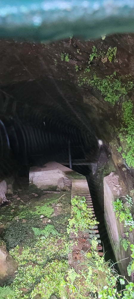 10.06.2024 Über die Levada de Marques Teixeira zum Cascalho und zurück über die Levada do Paul und die Levada Seca — Cascalho — Foto 12