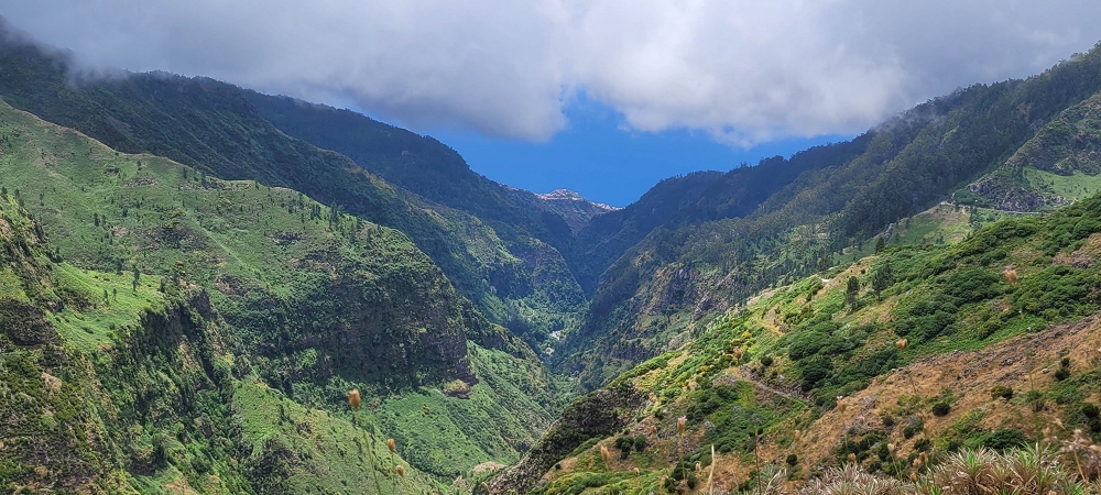 10.06.2024 Über die Levada de Marques Teixeira zum Cascalho und zurück über die Levada do Paul und die Levada Seca — Aufstieg zur Levada do Paul — Foto 1