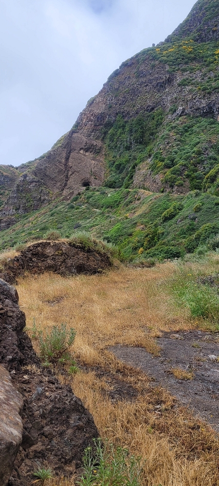 10.06.2024 Über die Levada de Marques Teixeira zum Cascalho und zurück über die Levada do Paul und die Levada Seca — Aufstieg zur Levada do Paul — Foto 2
