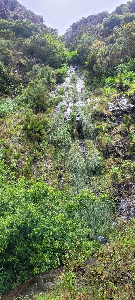 10.06.2024 Über die Levada de Marques Teixeira zum Cascalho und zurück über die Levada do Paul und die Levada Seca — Aufstieg zur Levada do Paul — Foto 4