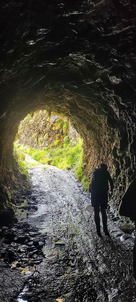 10.06.2024 Über die Levada de Marques Teixeira zum Cascalho und zurück über die Levada do Paul und die Levada Seca — Aufstieg zur Levada do Paul — Foto 6