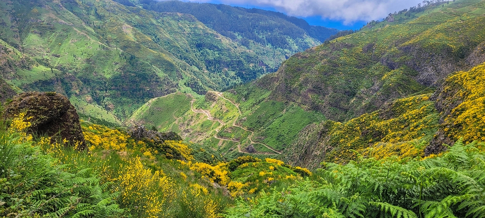 10.06.2024 Über die Levada de Marques Teixeira zum Cascalho und zurück über die Levada do Paul und die Levada Seca — Aufstieg zur Levada do Paul — Foto 9