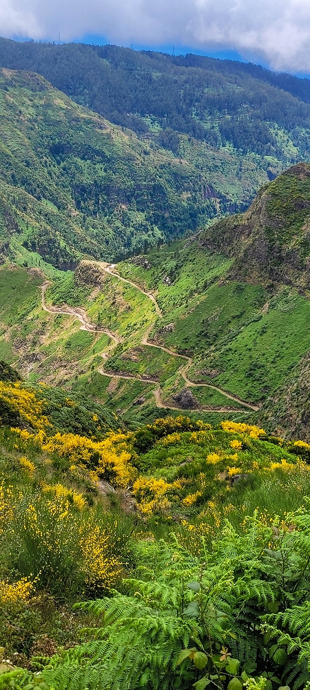 10.06.2024 Über die Levada de Marques Teixeira zum Cascalho und zurück über die Levada do Paul und die Levada Seca — Aufstieg zur Levada do Paul — Foto 10
