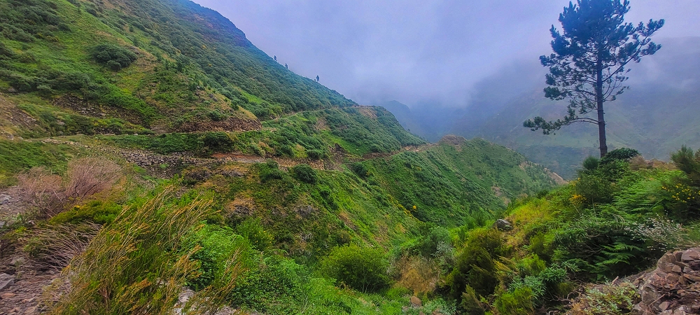 10.06.2024 Über die Levada de Marques Teixeira zum Cascalho und zurück über die Levada do Paul und die Levada Seca — Auf der Levada de Marques Teixeira bis zur Blechdachpassage — Foto 6