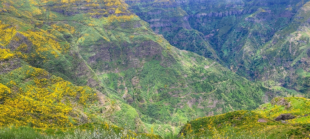 Levada Seca — photo 4