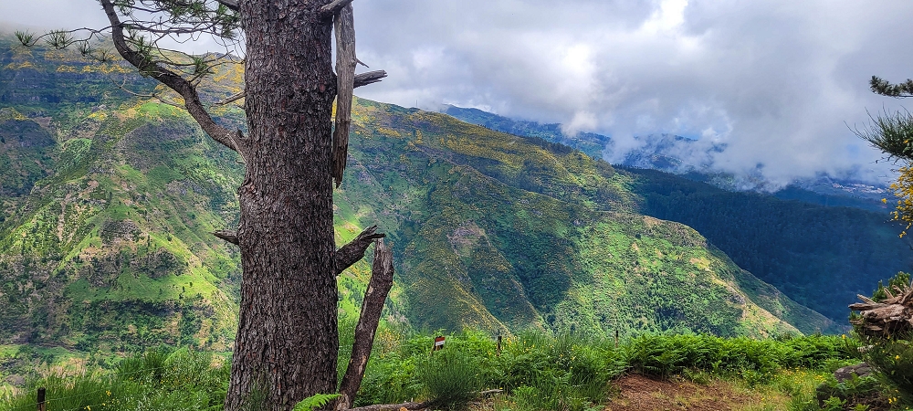 Levada Seca — photo 5