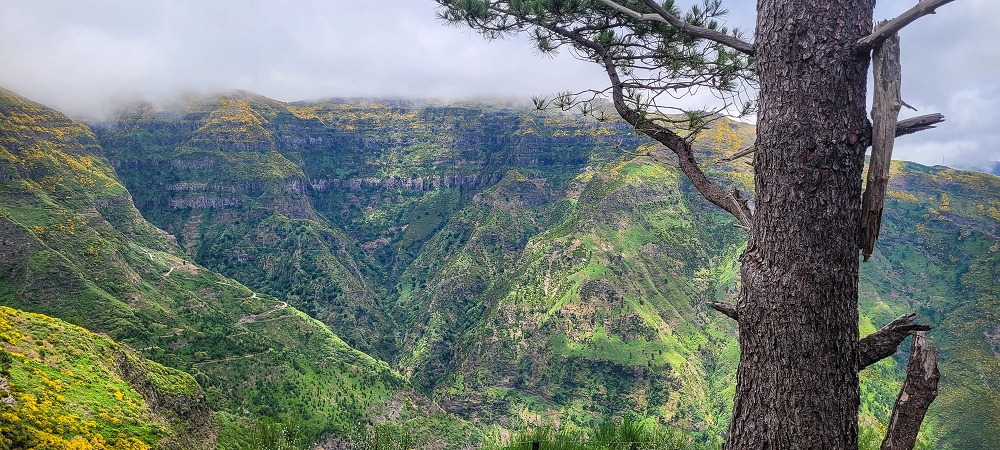 Levada Seca — photo 7