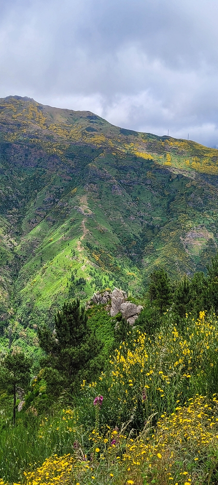 Levada Seca — photo 8