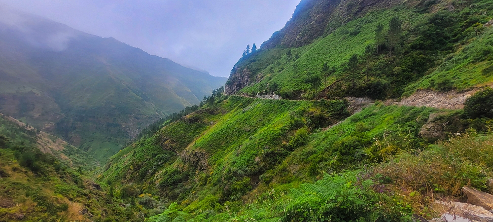 10.06.2024 Über die Levada de Marques Teixeira zum Cascalho und zurück über die Levada do Paul und die Levada Seca — Auf der Levada de Marques Teixeira bis zur Blechdachpassage — Foto 7