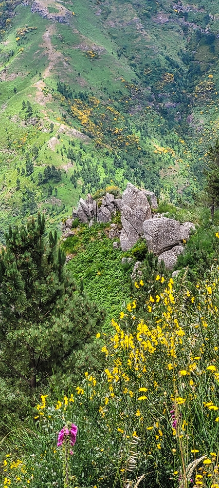 Levada Seca — photo 9