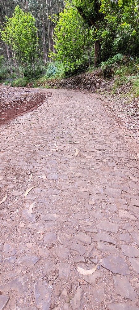 10.06.2024 Über die Levada de Marques Teixeira zum Cascalho und zurück über die Levada do Paul und die Levada Seca — CR28 bis zum Ausgangspunkt — Foto 1
