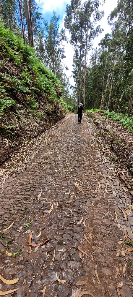 10.06.2024 Über die Levada de Marques Teixeira zum Cascalho und zurück über die Levada do Paul und die Levada Seca — CR28 bis zum Ausgangspunkt — Foto 2
