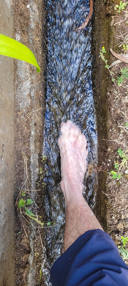 10.06.2024 Über die Levada de Marques Teixeira zum Cascalho und zurück über die Levada do Paul und die Levada Seca — CR28 bis zum Ausgangspunkt — Foto 3