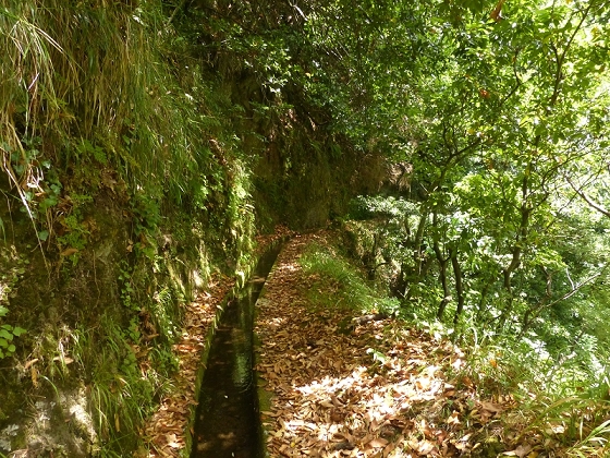 10 August 2012 Levadas dos Tornos and das Faias — To the Madre of the Levada das Faias and back to the car — photo 1