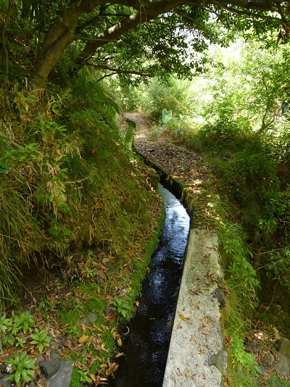 10 August 2012 Levadas dos Tornos and das Faias — To the Madre of the Levada das Faias and back to the car — photo 3