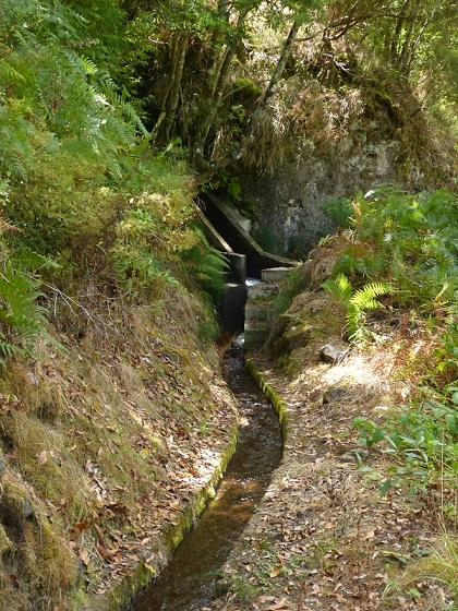 10 August 2012 Levadas dos Tornos and das Faias — To the Madre of the Levada das Faias and back to the car — photo 8