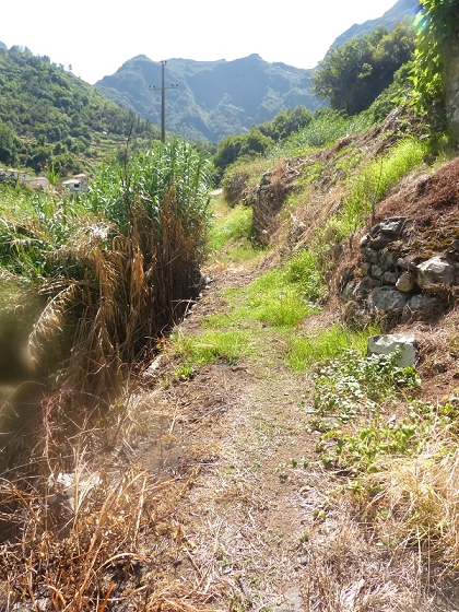 10 August 2012 Levadas dos Tornos and das Faias — To the Madre of the Levada das Faias and back to the car — photo 16