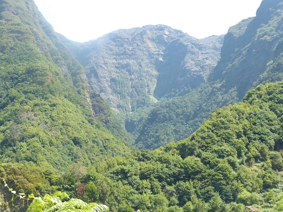 10 August 2012 Levadas dos Tornos and das Faias — On the Tornos to the stream works on the Ribeira do Joao Fernandes — photo 6